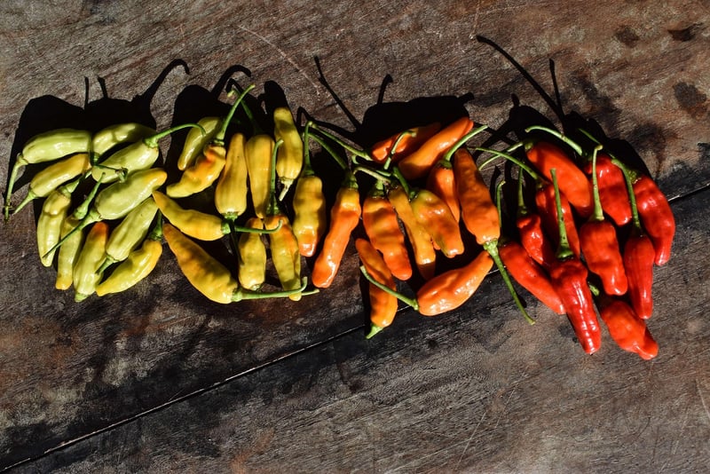 Mystical Harvest Recipes
